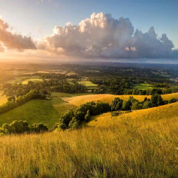 The French Plain