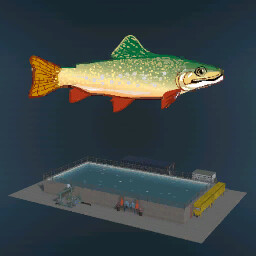 Fish Farming