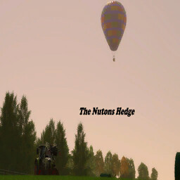 The Nutons Hedge