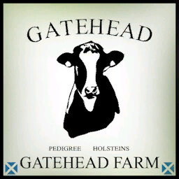 Gatehead Farm 22