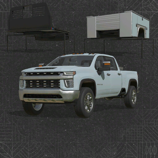 Lizard Silver 3500